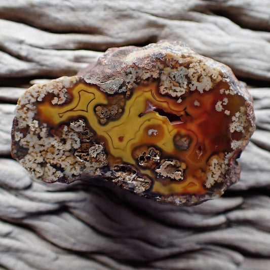 Polished Malawi agate from the Ngabu region with extremely unusual patterning in red brown and yellow