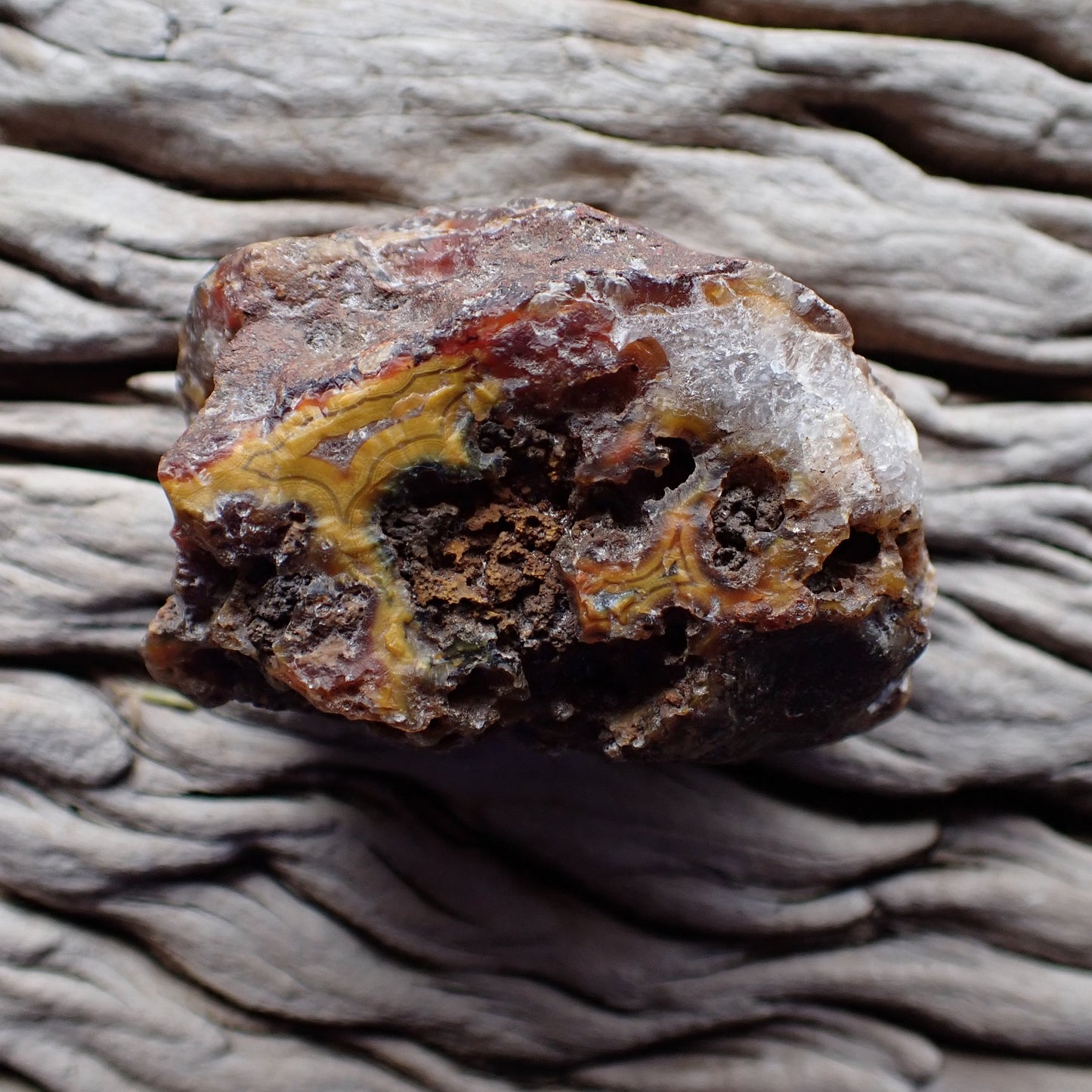 Unpolished rough side of Malawi agate showing natural texture, colours showing through