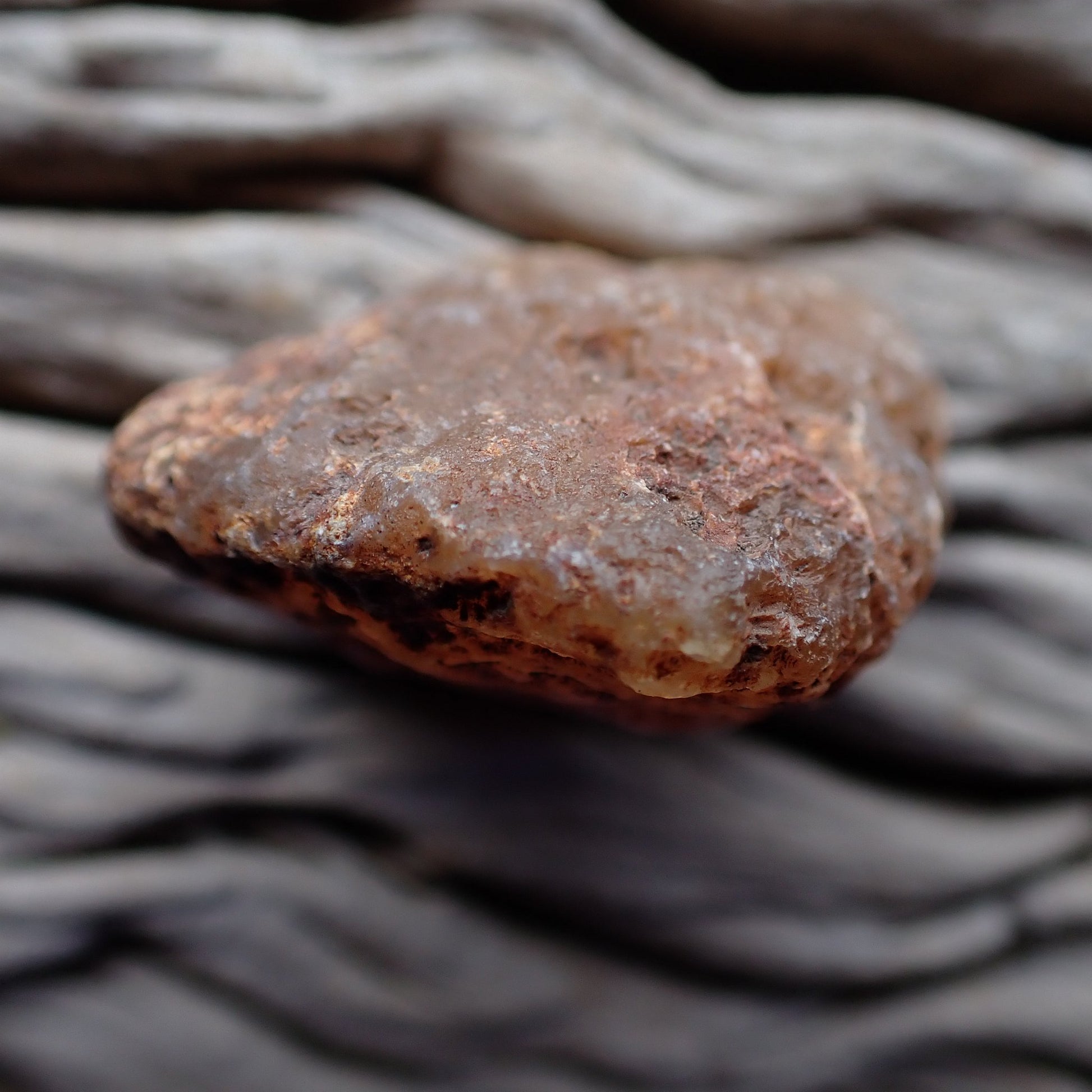 Unpolished rough side of Malawi agate showing natural texture