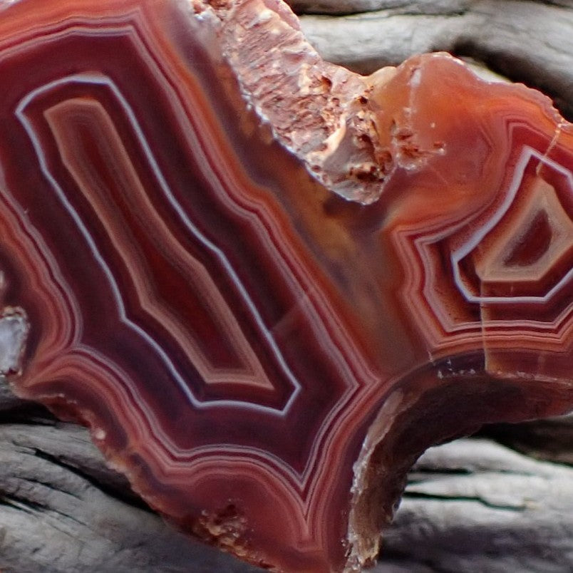 Close up of Malawi agate with double chamber and red orange and peach banding