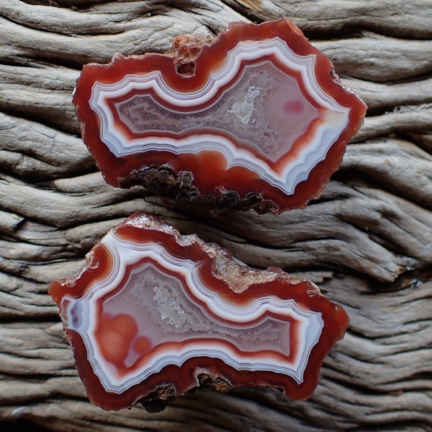 Stunning Malawi agate matching red and white pair featuring fortification banding, eyes and flow channels