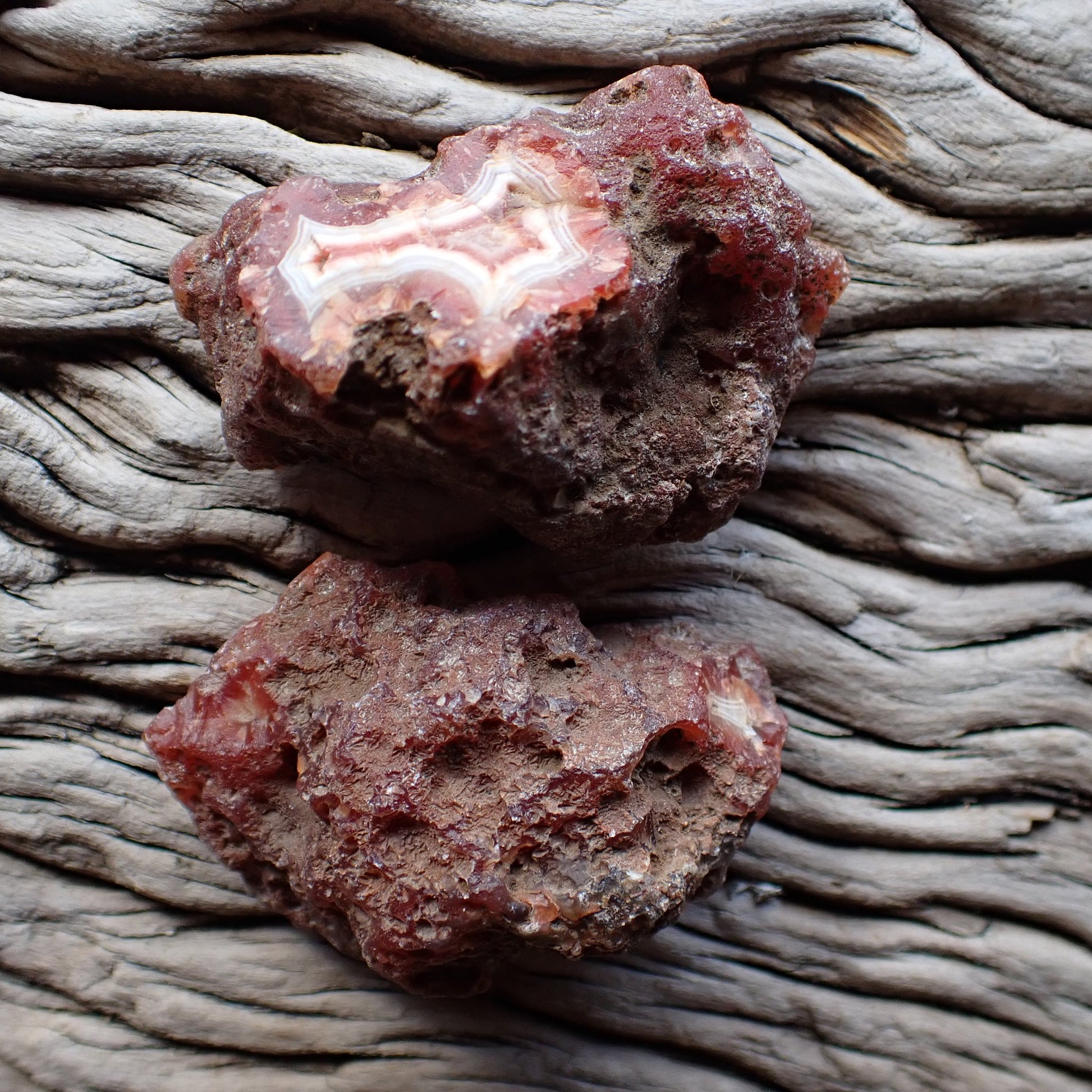 unpolished side of matching Malawi agate pair