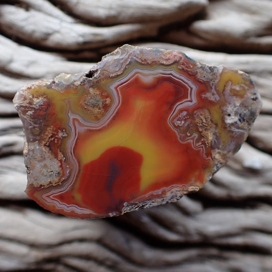 Premium natural Malawi agate from Ngabu region. Features chromatism and pseudomorphs. Red orange and yellow