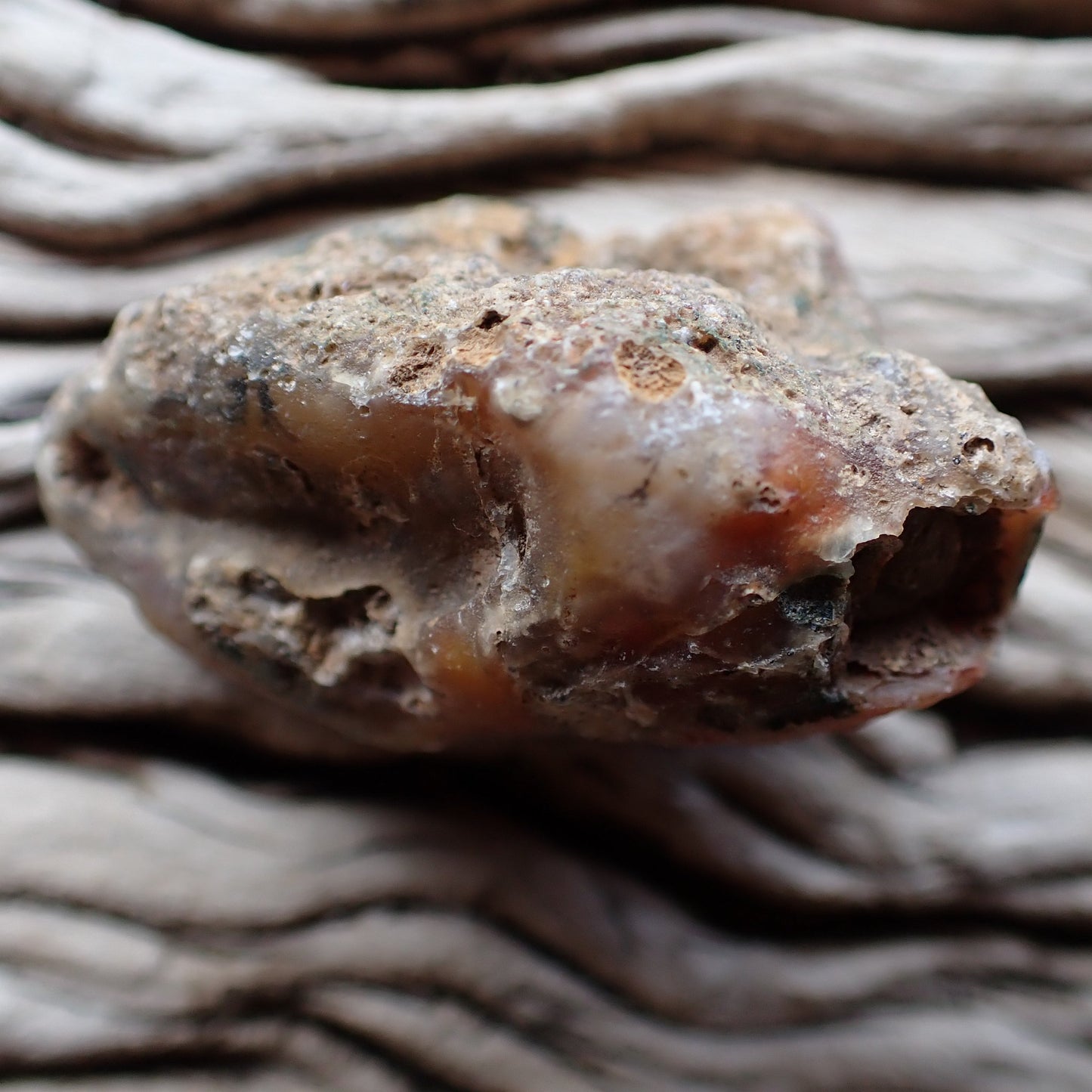 unpolished side of malawi agate nodule