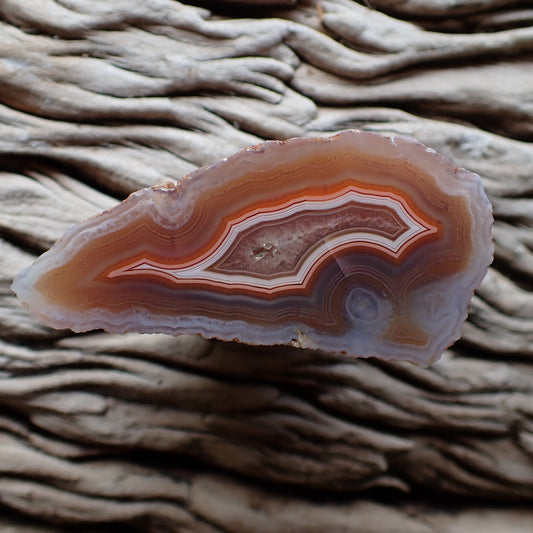 Premium natural Malawi agate from Ngabu region. Features fortification banding and eye, 96g collector specimen