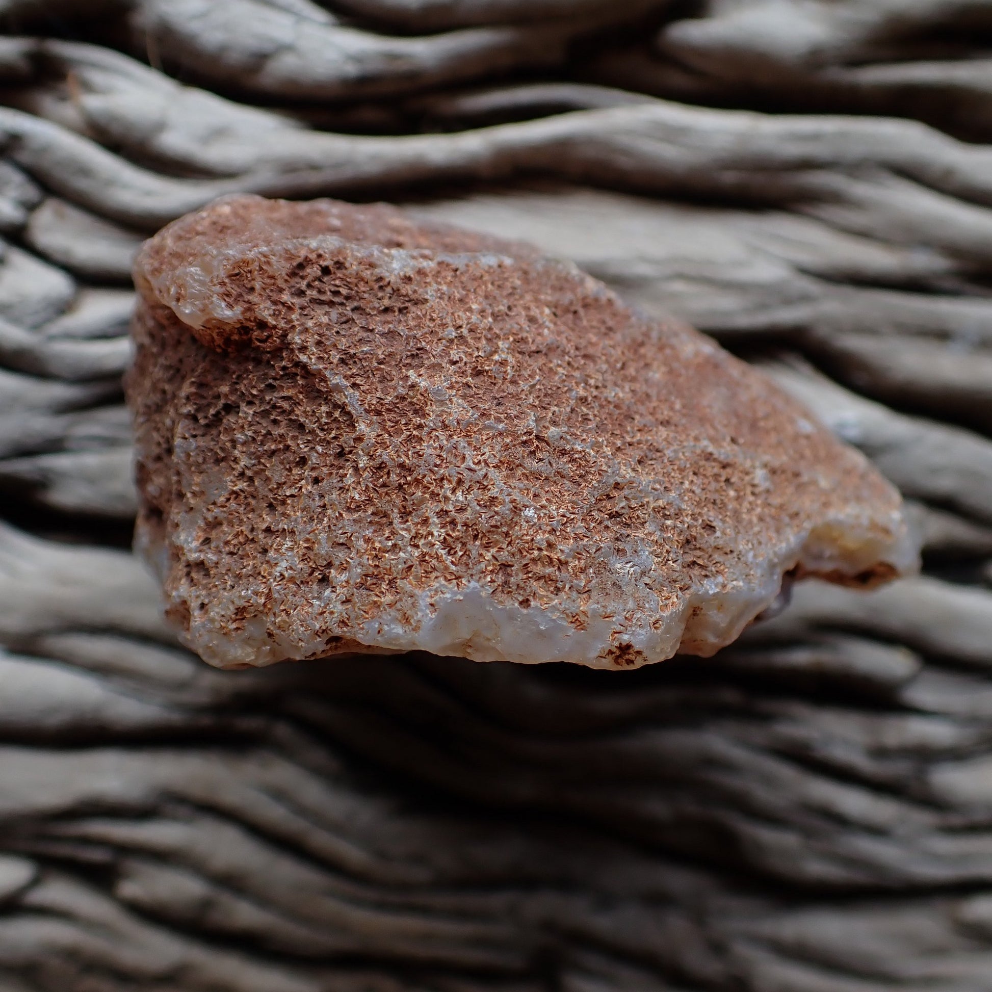 unpolished side of malawi agate nodule