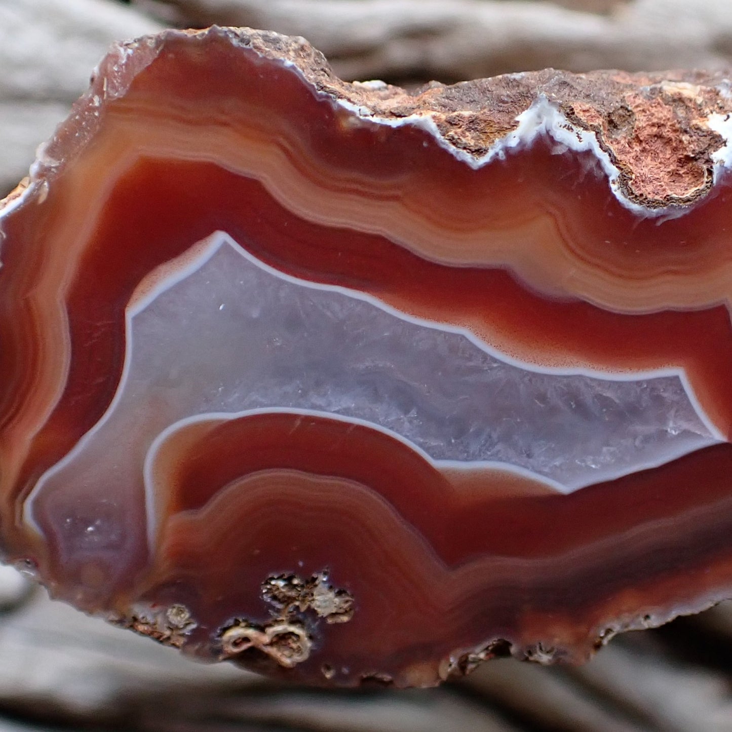 close up of a polished malawi agate with the crystalline centre exiting in a well formed flow channel