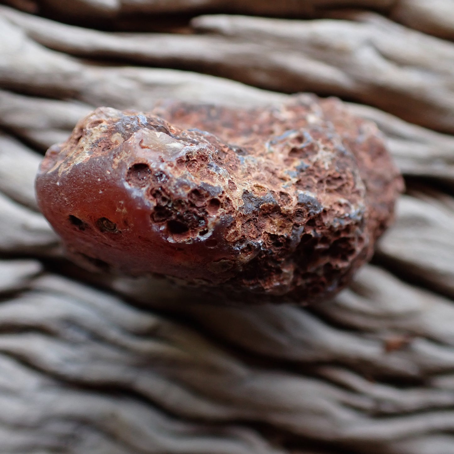unpolished side of a Malawi Ngabu region agate nodule
