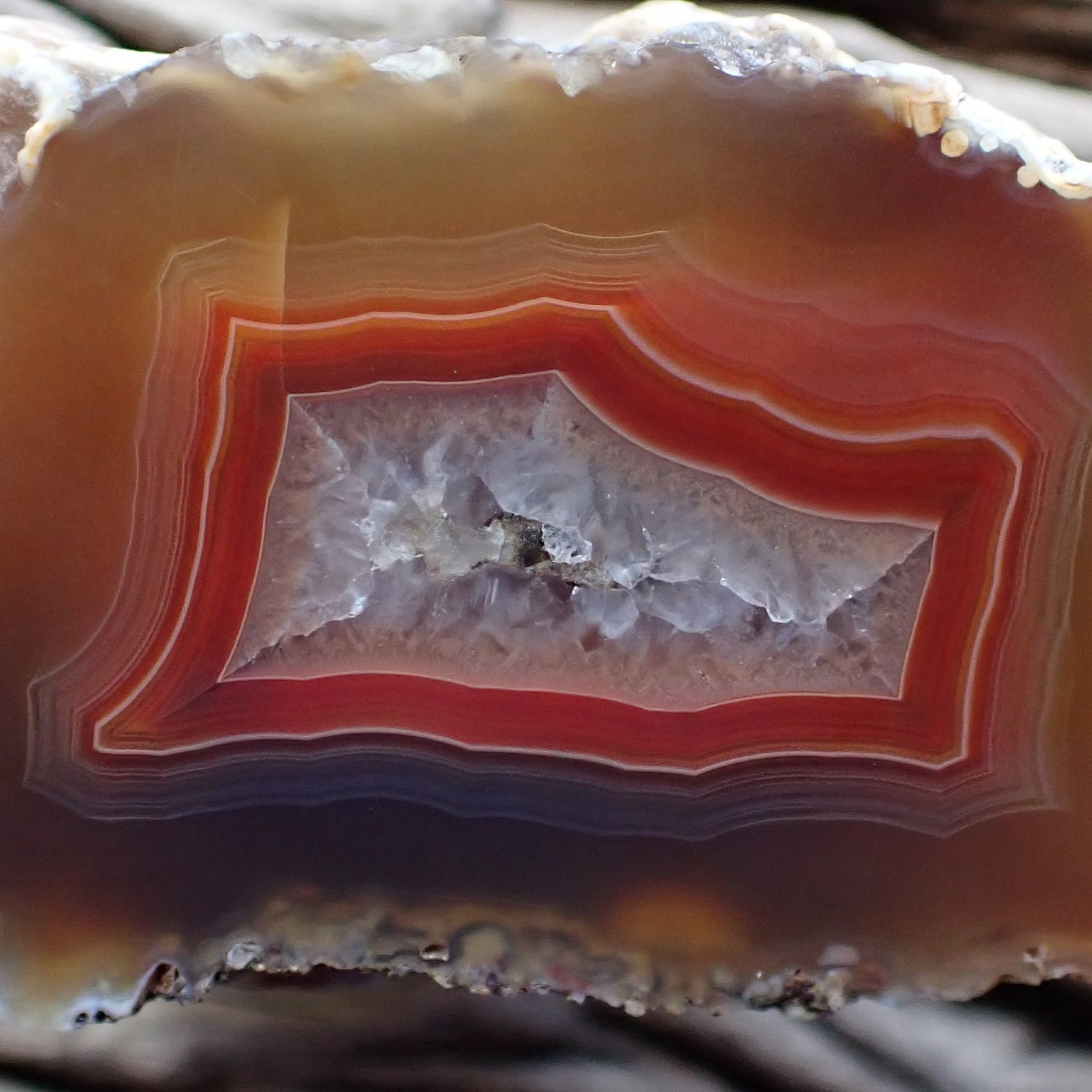 Close-up of a layered Malawi agate stone with red and white colors.