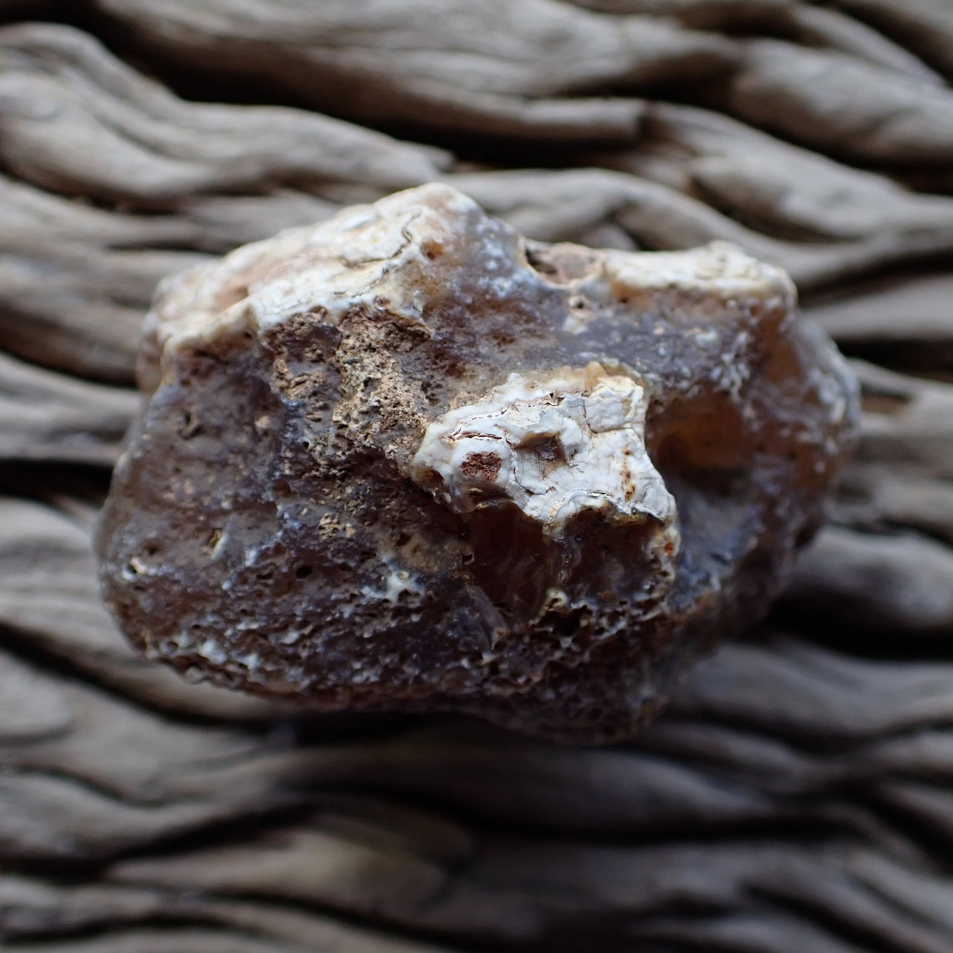 unpolished side of a malawi agate nodule