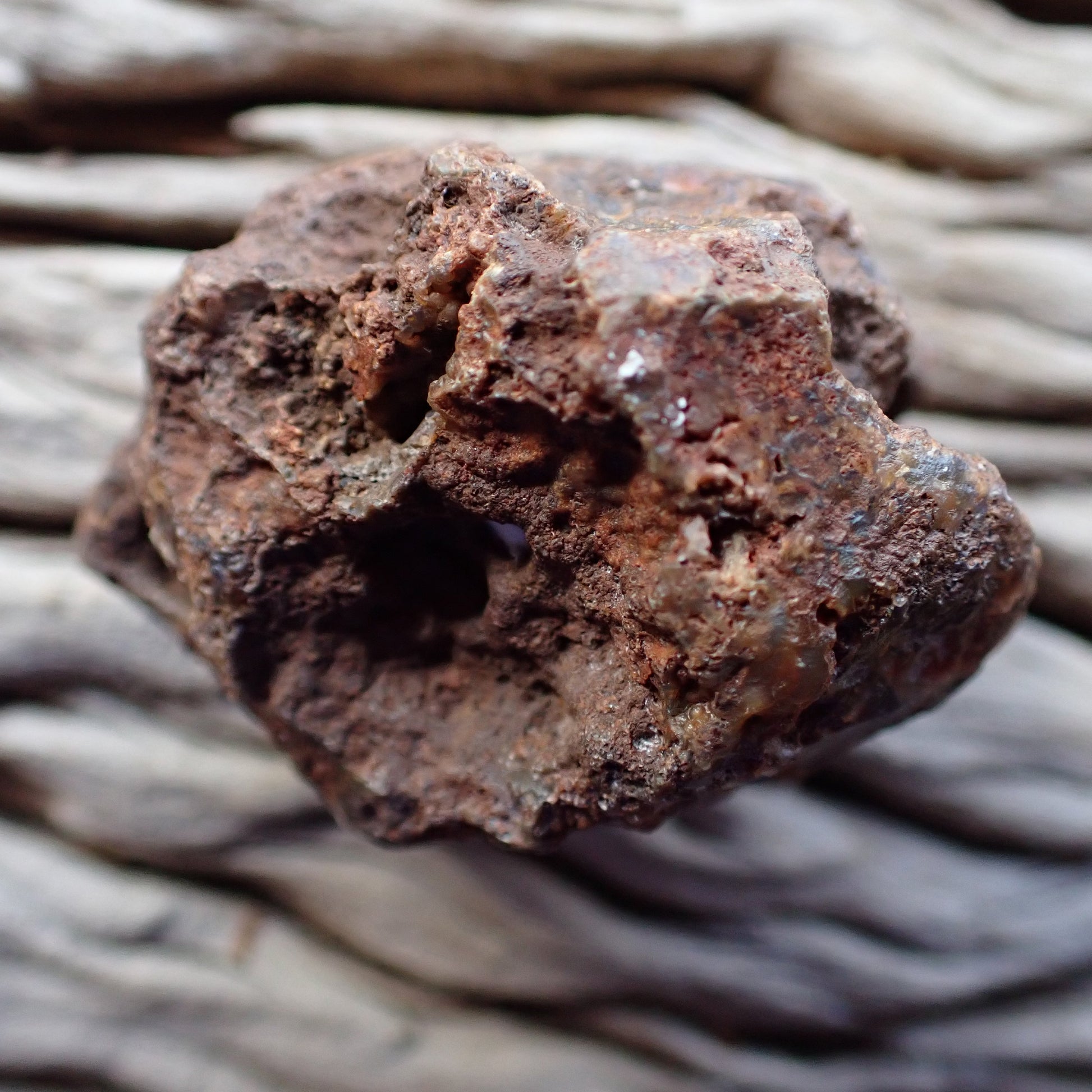 unpolished side of a malawi ngabu agate nodule