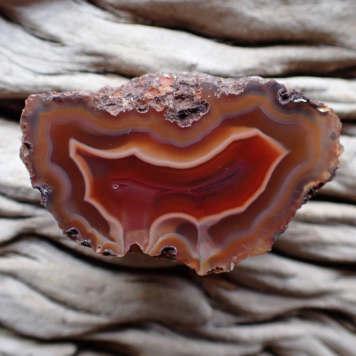 Lovely fiery Malawi candy agate outlined in purple and has fiery red and orange banding seperated by well defined ghost banding leading out into two seperate flow channels