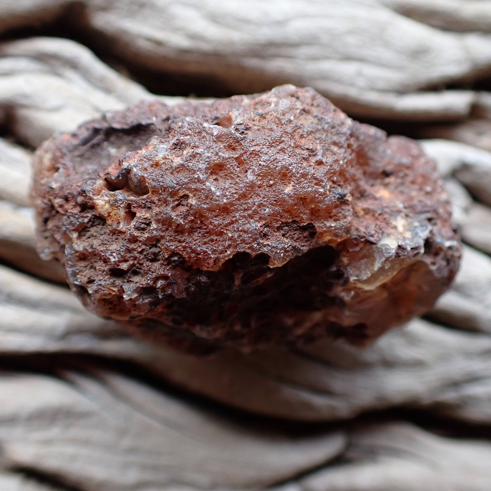 unpolished side of a Malawi Ngabu agate nodule