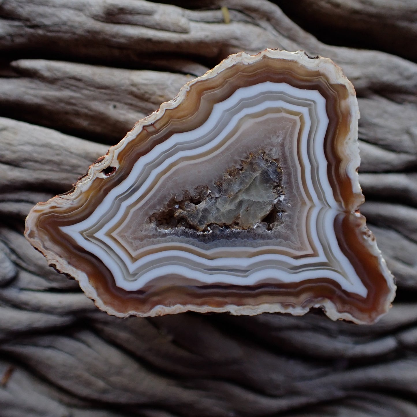 Malawi agate in lovely earthy tones featuring ghost banding, flow channel and a calcite centre