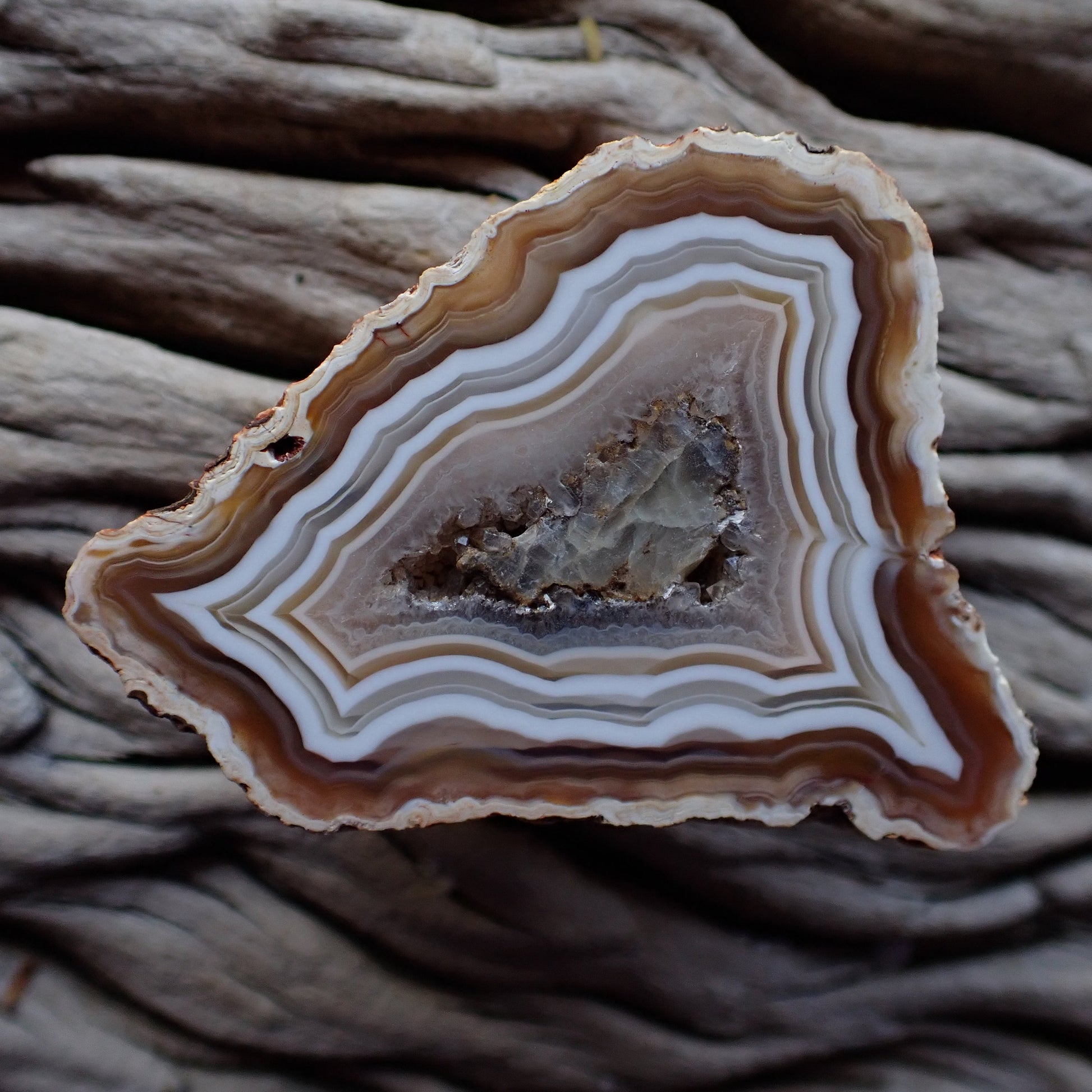 Malawi agate in lovely earthy tones featuring ghost banding, flow channel and a calcite centre