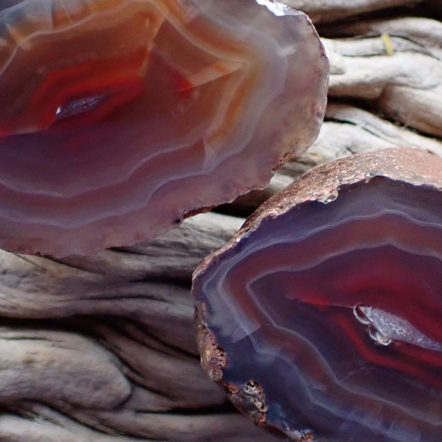 close up of a matching Malawi ngabu agate cut and polished pair