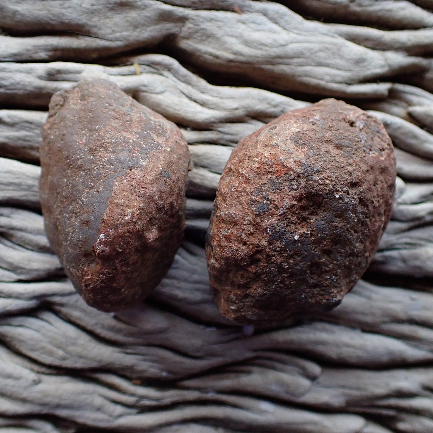 unpolished sides of a Malawi agate pair