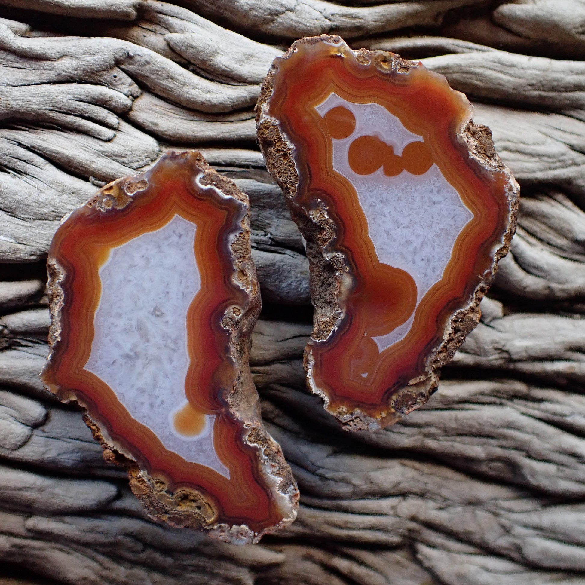 Stunning matching pair of Malawi agates in orange and white with several eyes