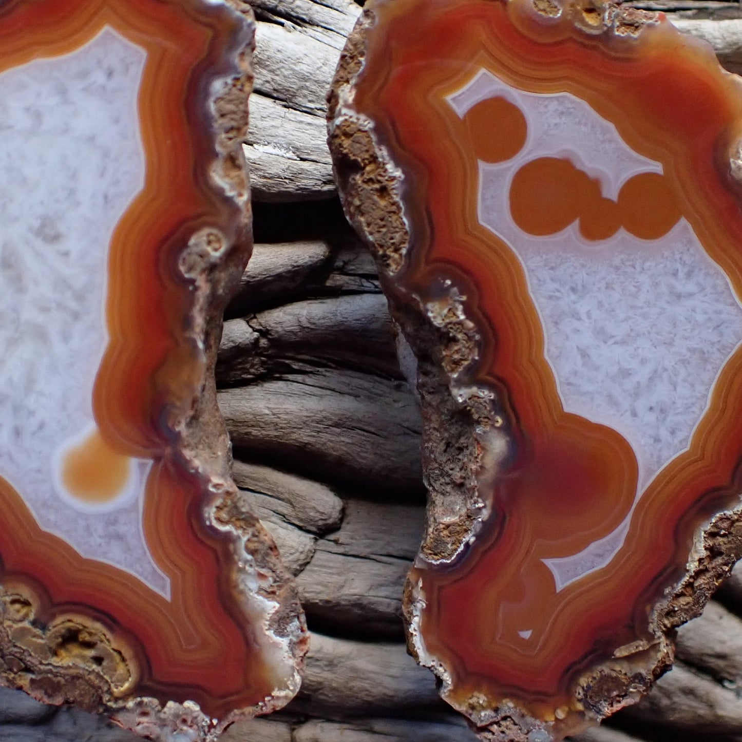 Close-up of a polished Malawi agate stone with concentric layers of orange, brown, and white 