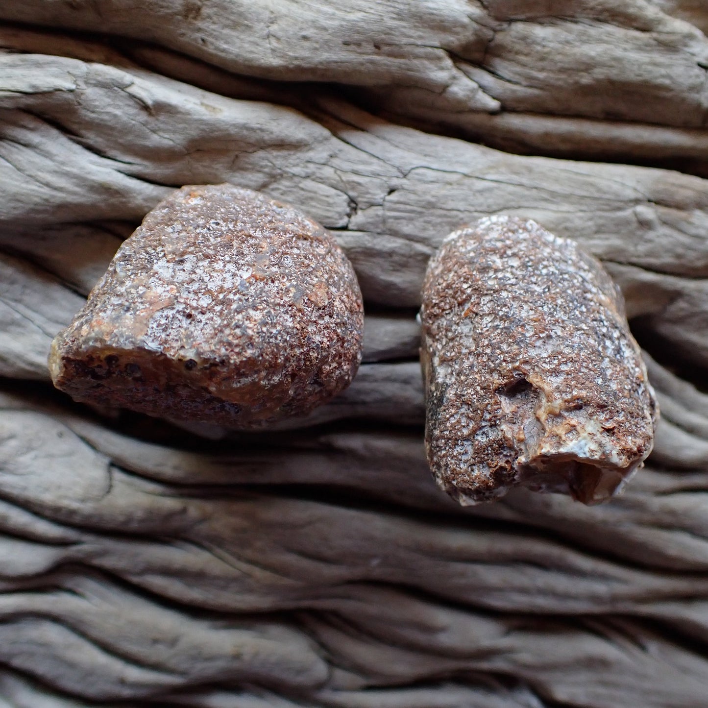 Unpolished side of a Malawi gate cut and polished pair