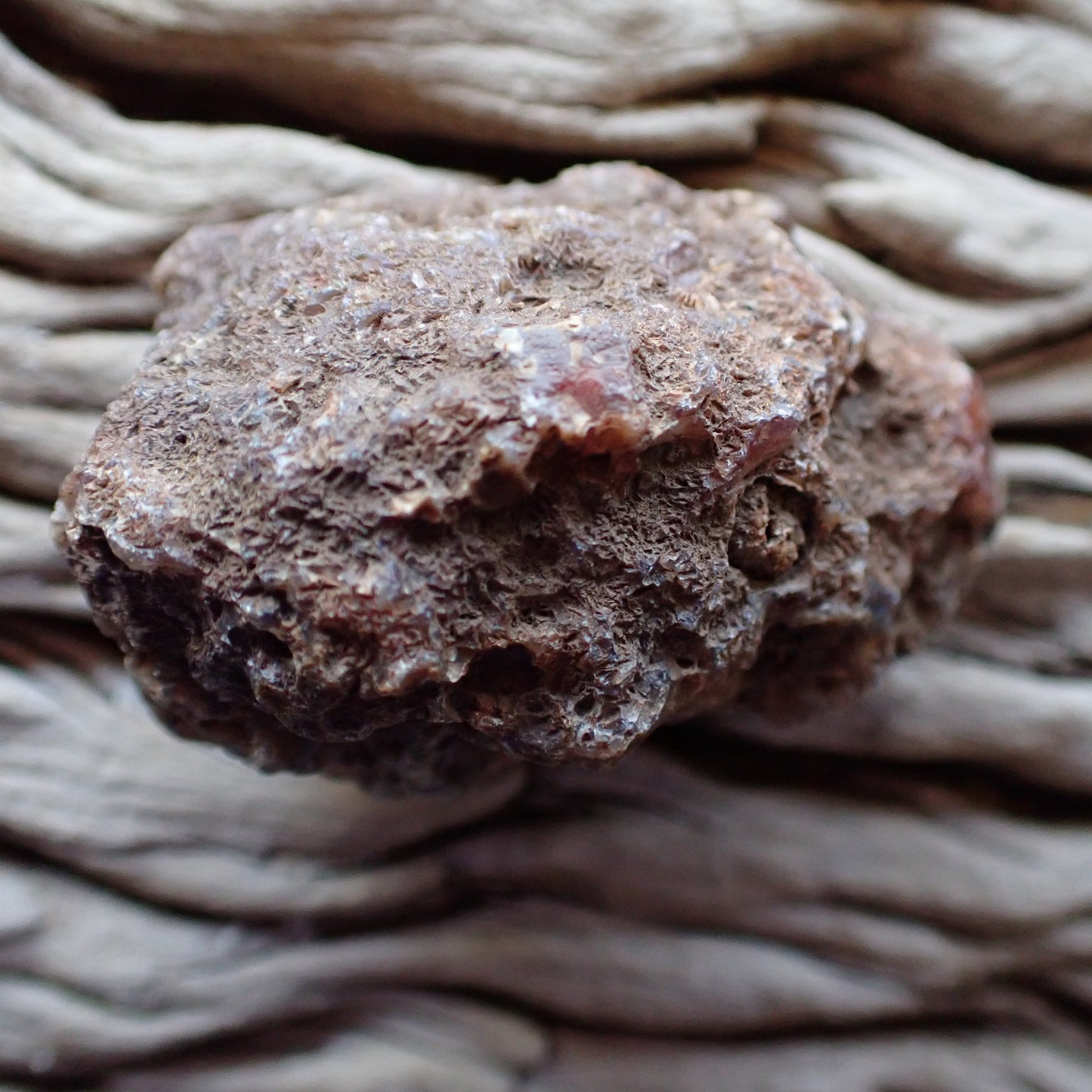 unpolished side of a Malawi gbabu agate nodule