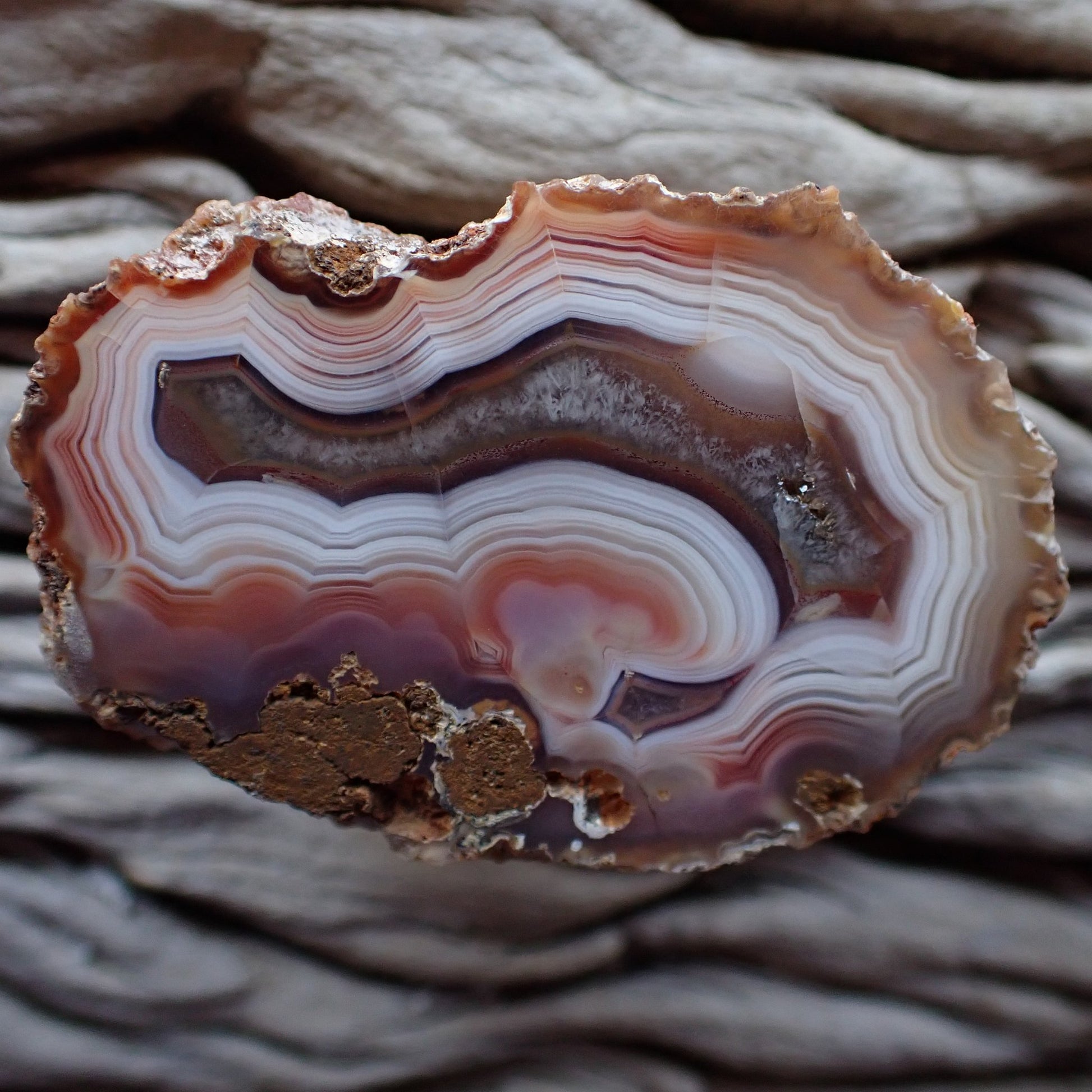 Lovely cut and polished Malawi Ngabu agate with tight ghost banding and lovely shades of salmon, rose gold and white