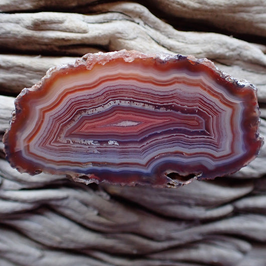 Lovely tightly banded cut and polished Malawi agate