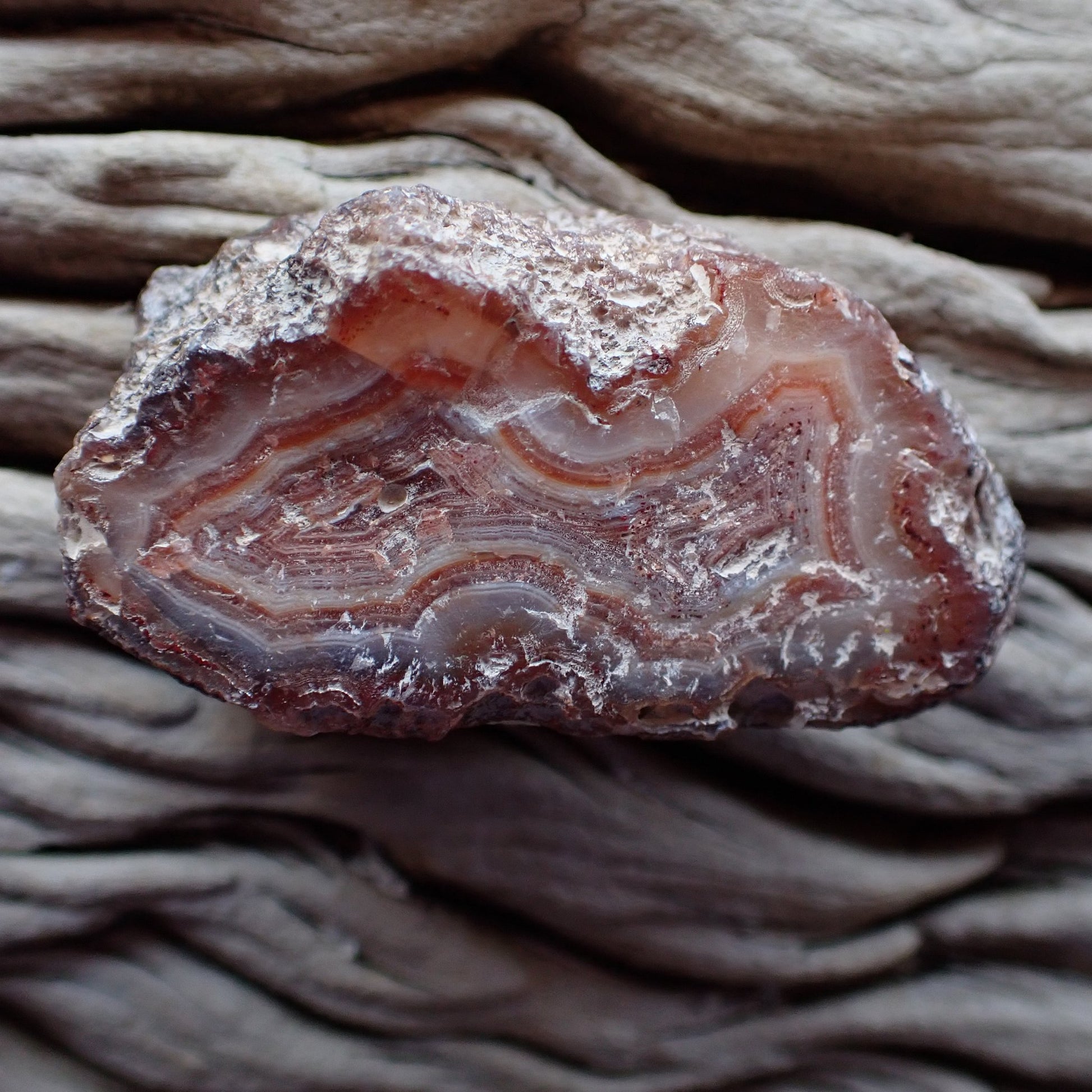 unpolished side of a Malawi agate nodule