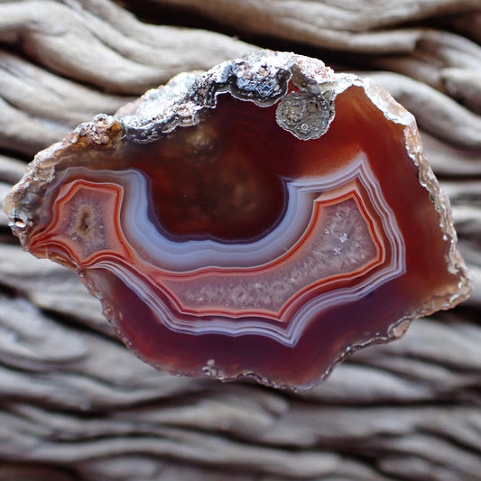 Beautiful hand polished Malawi Ngabu agate with deep wine red going into white ghost bands surrounded a peachy orange band around a crystalline centre surrounding two chambers