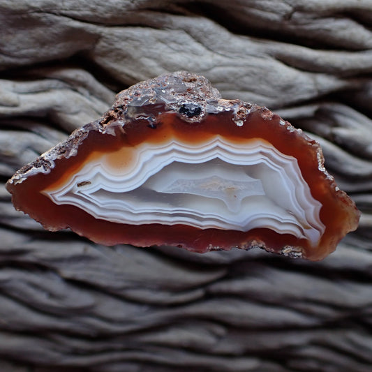 Stunning hand polished Malawi Ngabu agate specimen with striking ghost banding against a red and orange frame. Partial eye and a stunning 3D effect