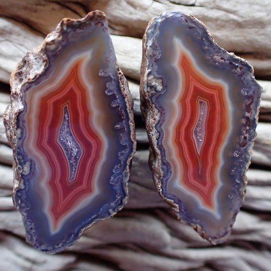 A matching Malawi agate cut and hand polished pair. Boasting colorful concentric layers of red, orange, slamon and grey blue with a sparkling druzi centre
