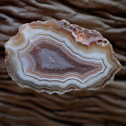 A Malawi achat agate cut and polished specimen with white orange and rose gold banding. Has lovely ghost banding and a floater