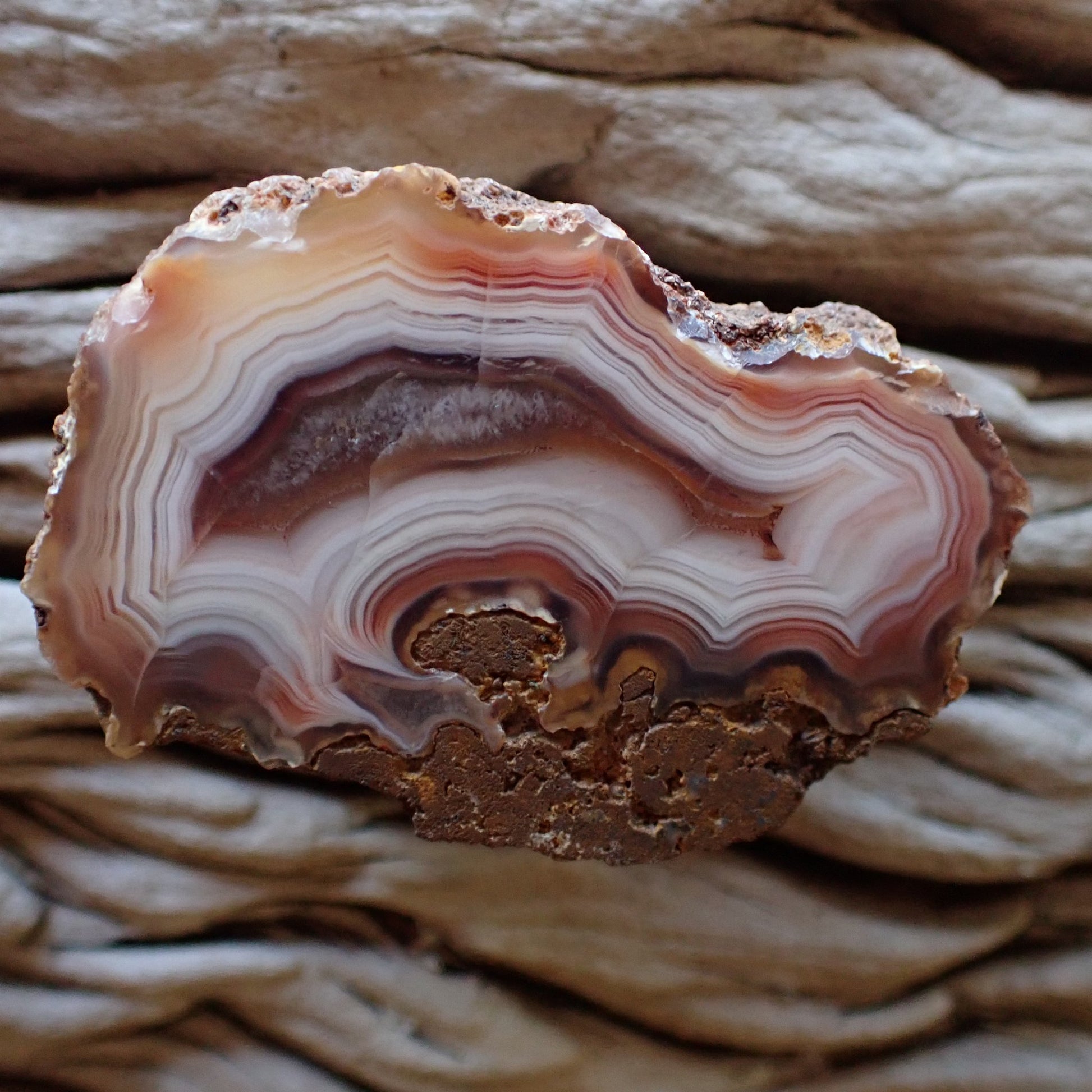 Cut and hand polished Malawi Ngabu agate with lovely banding in white, pink and bronze, stunning banding and clear flow channels