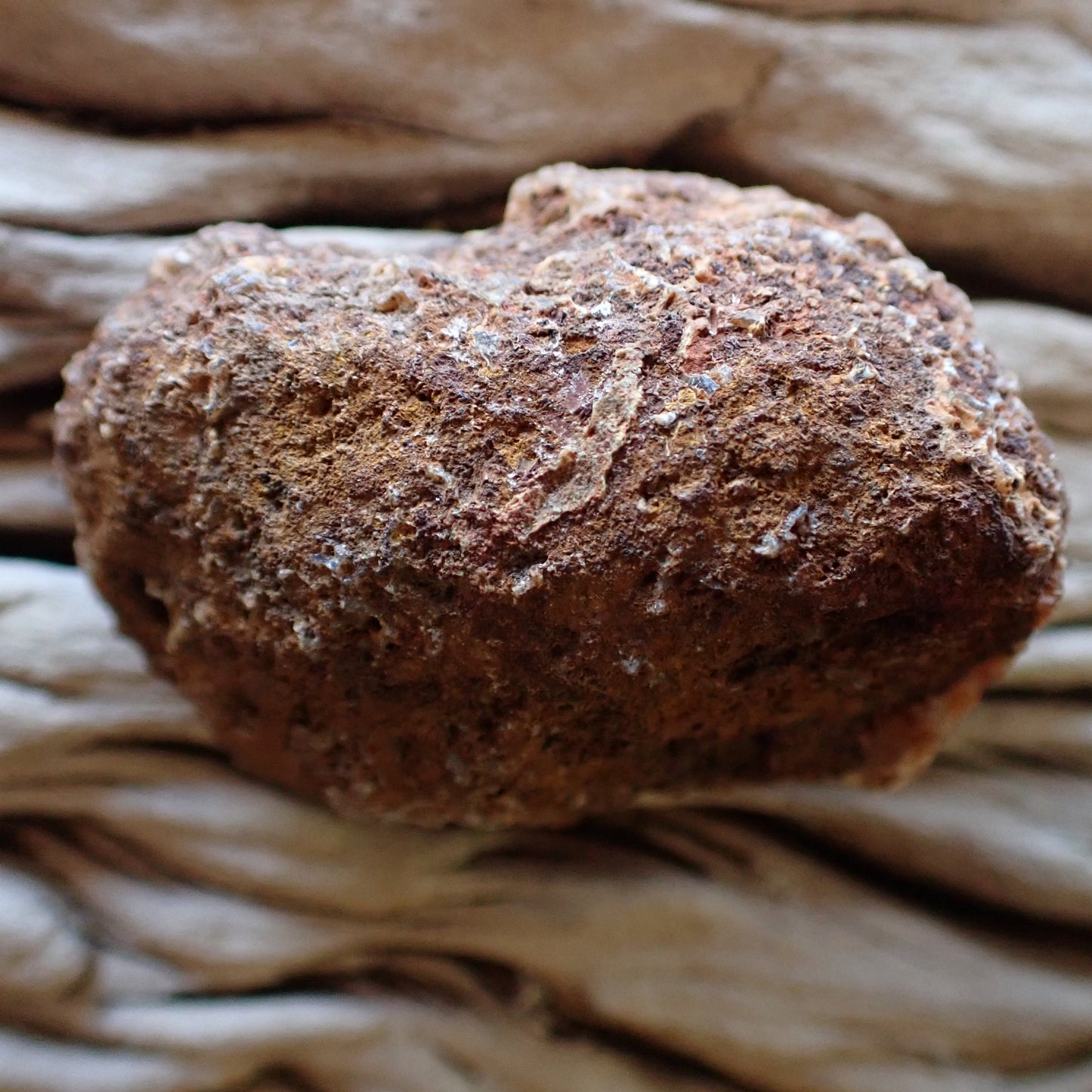 unpolished side of a cut Malawi agate nodule from the Ngabu region
