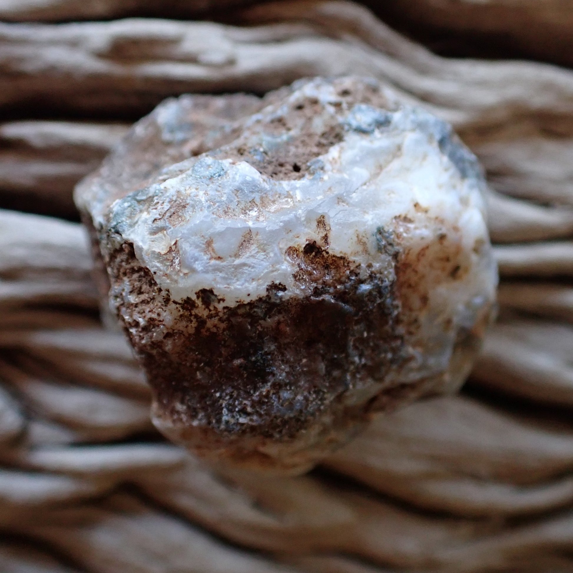 unpolished side of a Malawi agate nodule from the Ngabu region