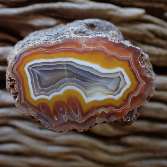 Bright yellow and orange Malawi agate with eyes, fortification banding and ghost banding