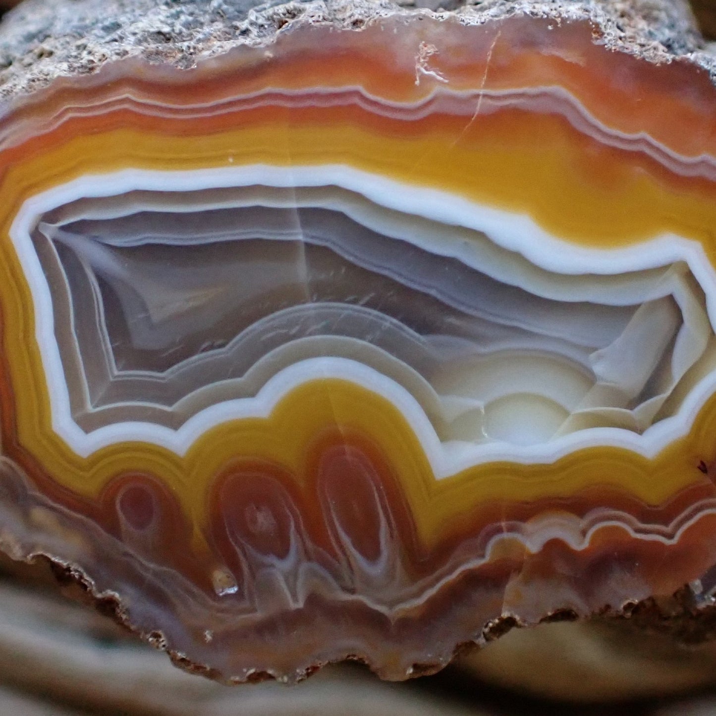 Close-up of a multicolored Malawi agate stone with concentric layers. Lovely banding and eyes (bladders)