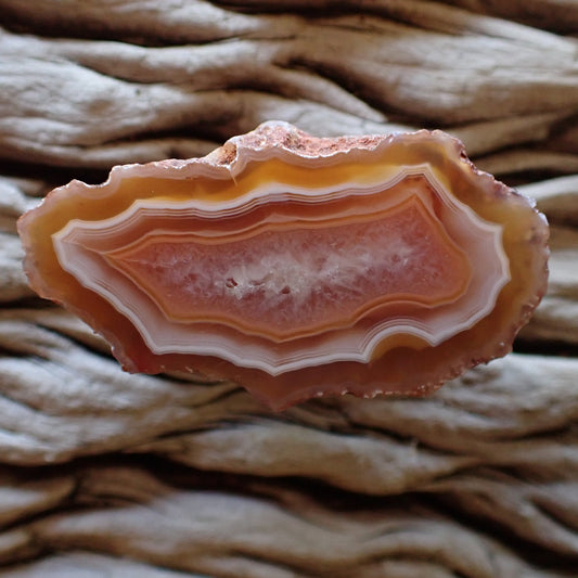 Orange and white cut and hand polished Malawi agate specimen with ghost banding