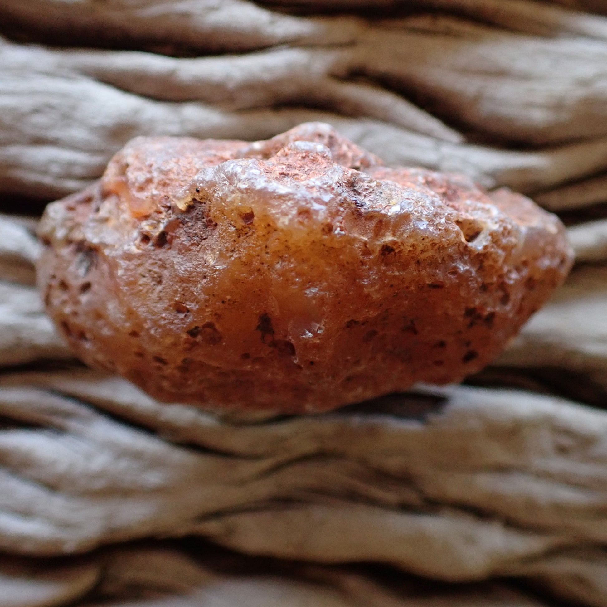 Unpolished side of a Malawi agate nodule