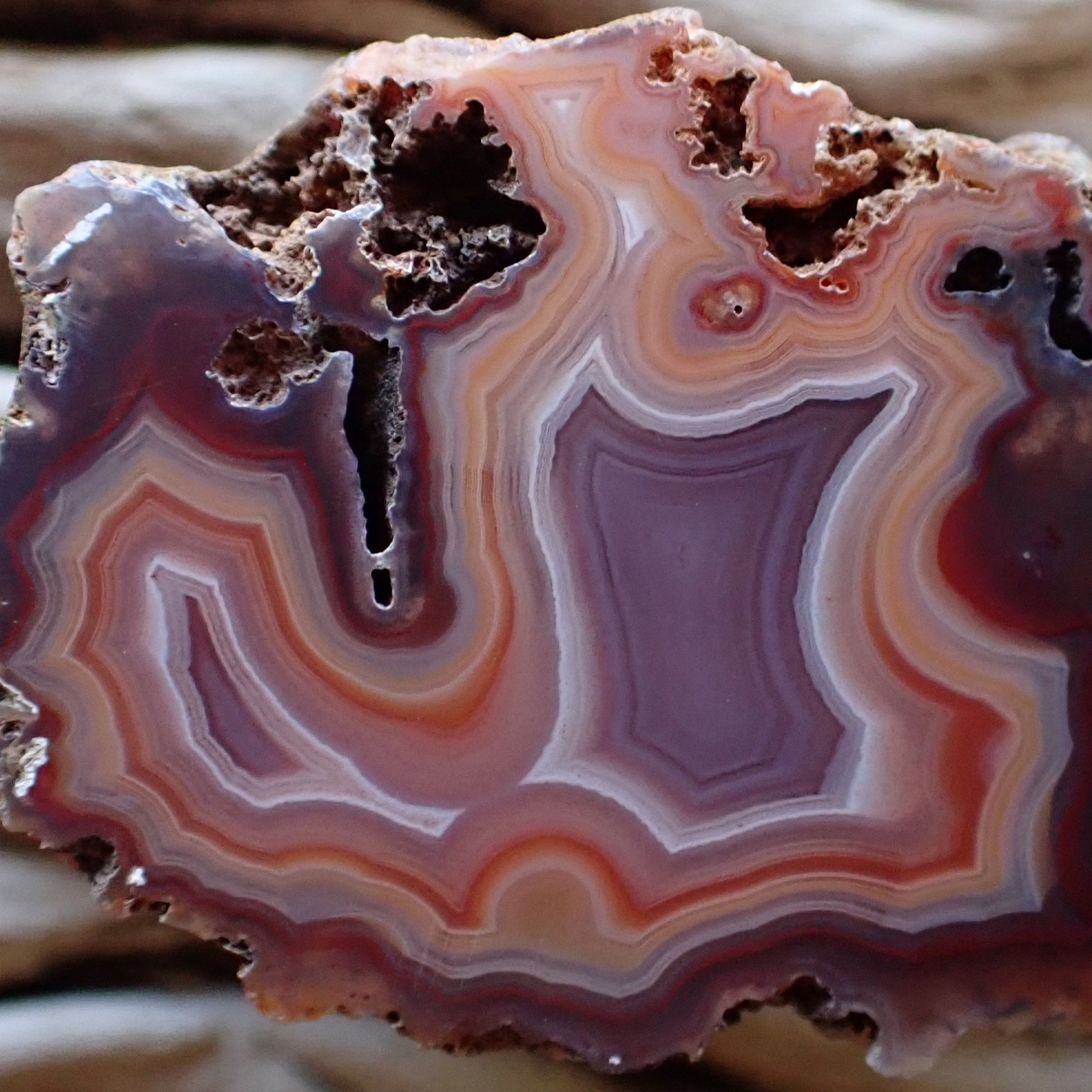 Close-up of a stunning Malawi agate specimen with lovely purple and orange colouring featuring perimorphs and fortification banding