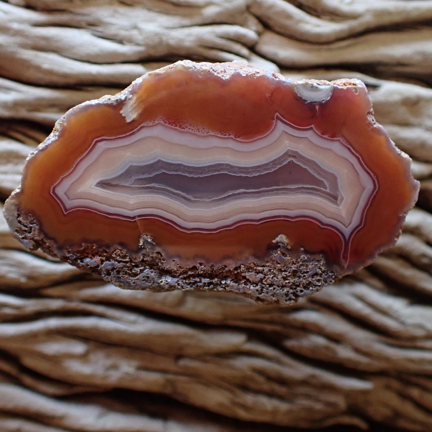 Cut and hand polished Malawi agate  stone with lovely fortification banding. Lovely orange colour lined with red, going into a light peach towards the centre