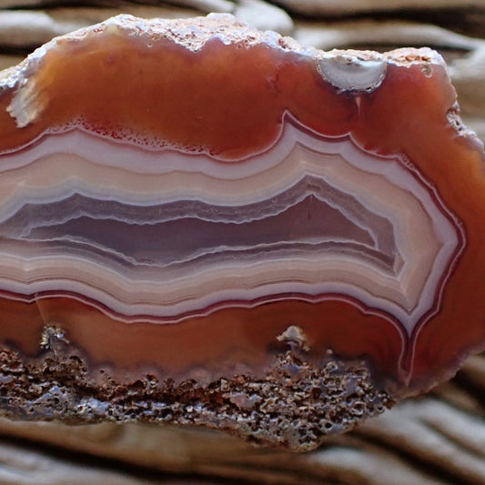 Close-up of a cut and hand polished Malawi Gnagbu agate showing lovely fortification banding in orange, red and peach