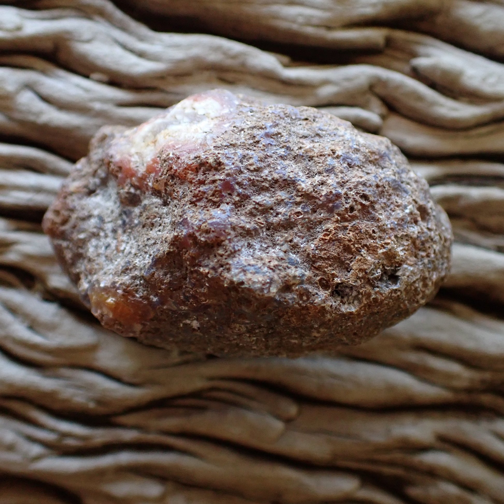 Unpolished side of a Malawi Ngabu agate nodule