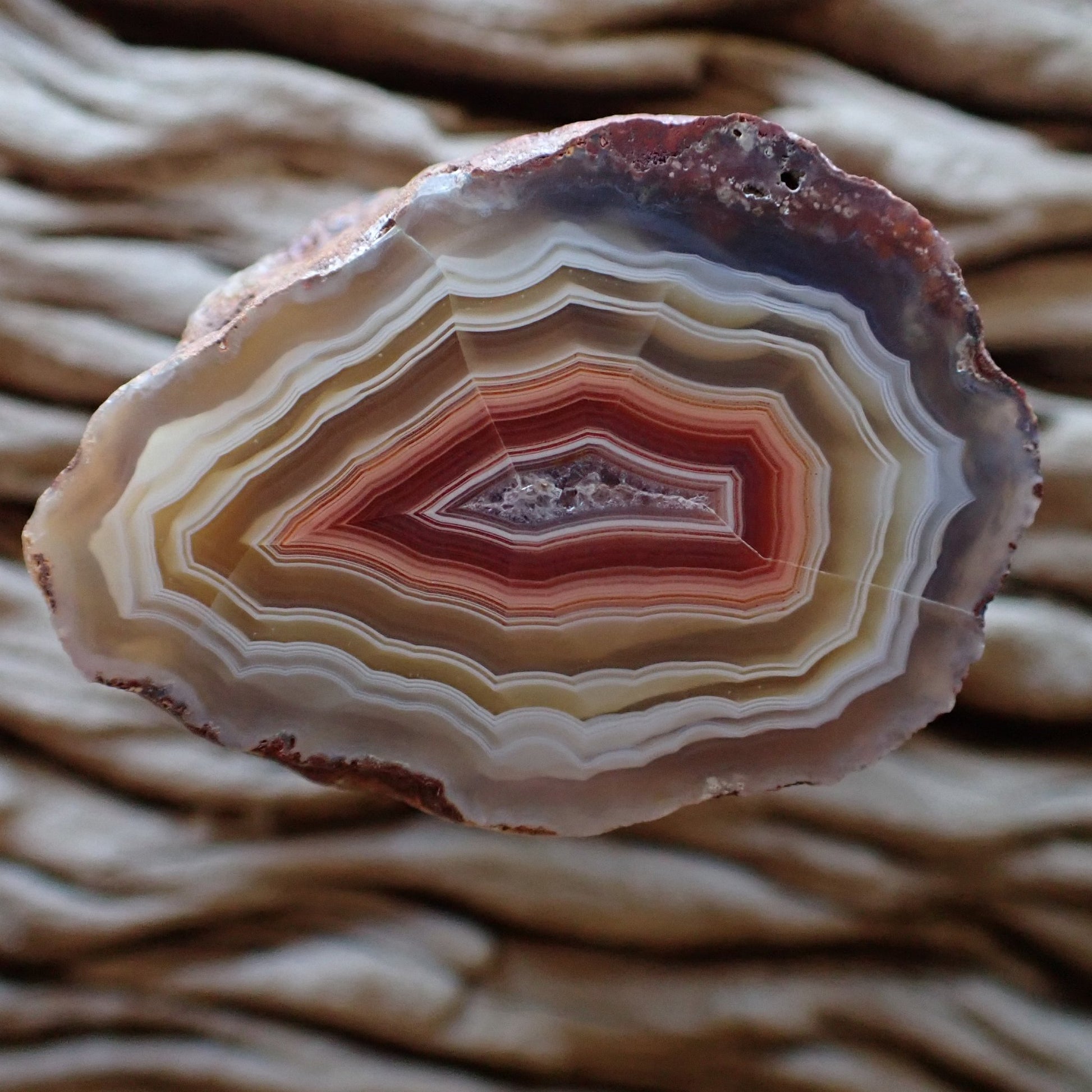 Striking cut and polished Malawi Ngabu agate with white host banding and fortification banding, going into peach and deep wine red bands around the crystalline centre