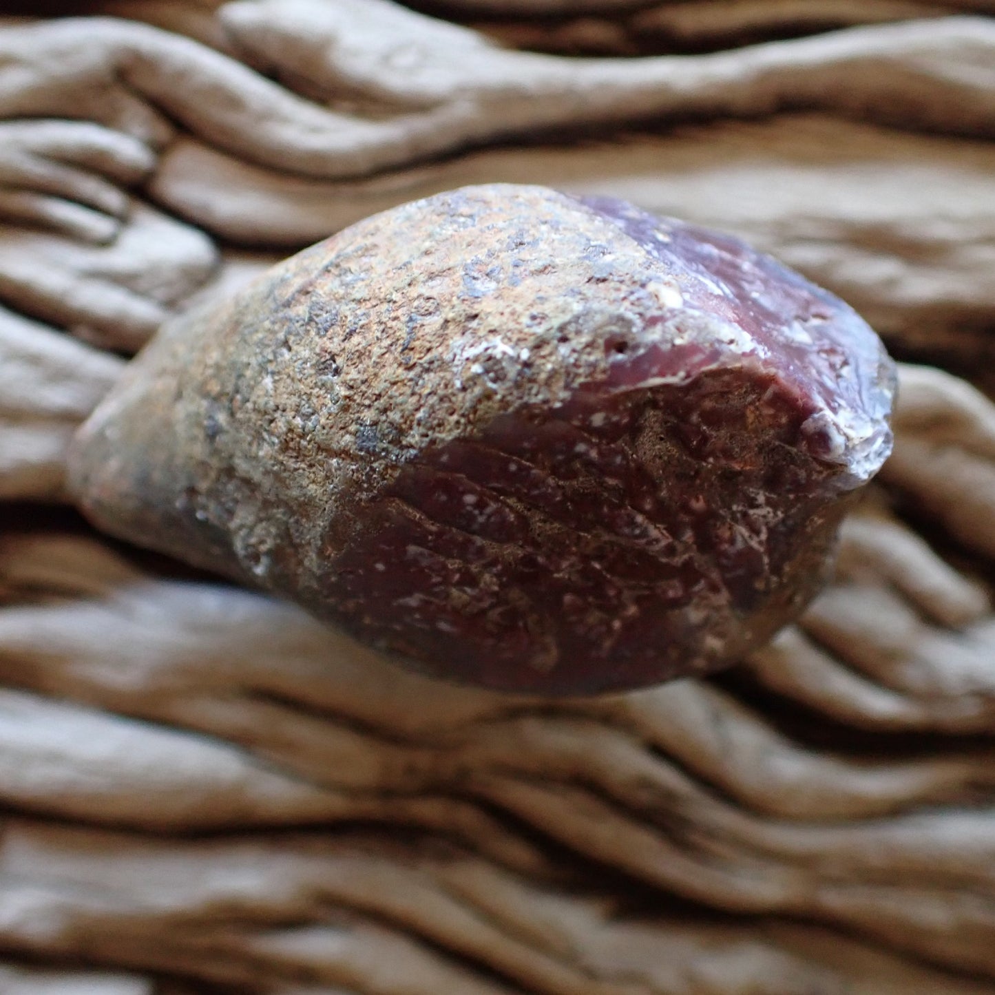 Unpolished side of a Malawi Ngabu agate nodule
