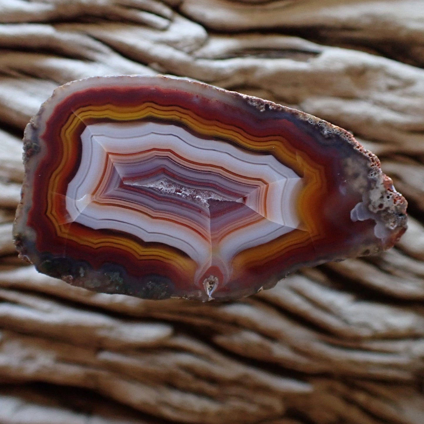 Hand polished Malawi Ngabu agate stone with vibrant bands of yellow, white around a purple lined druzy centre