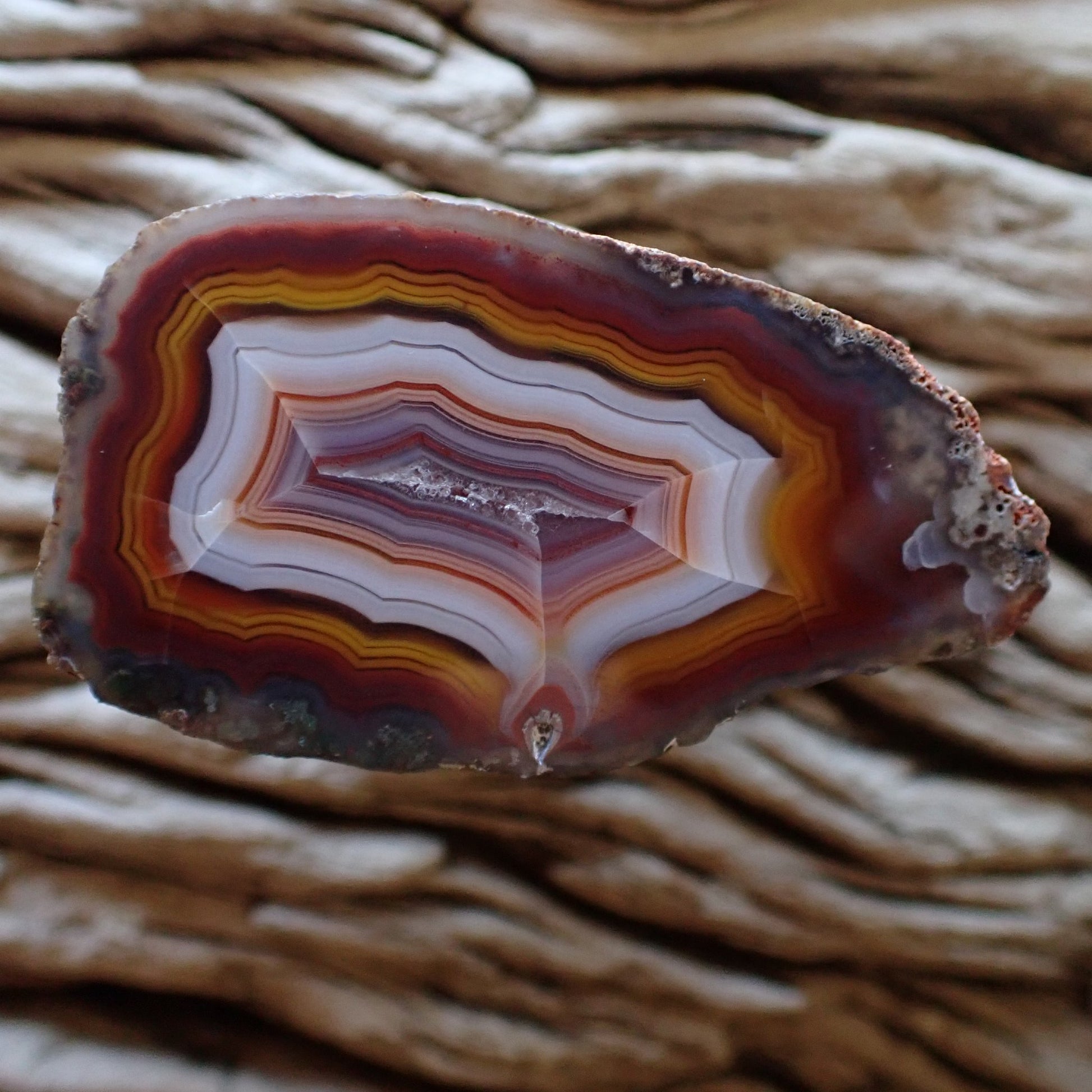 Hand polished Malawi Ngabu agate stone with vibrant bands of yellow, white around a purple lined druzy centre