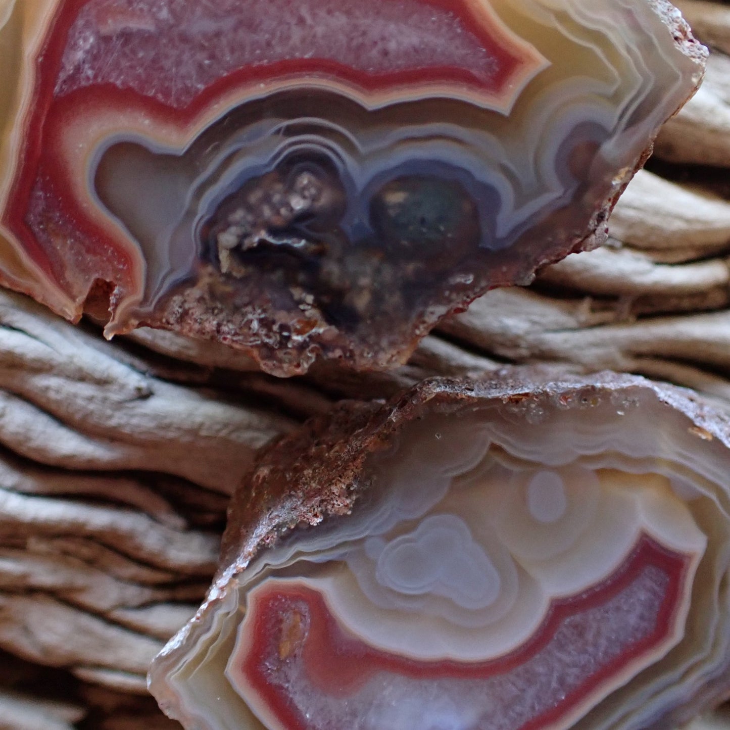 Close-up of matching Malawi Ngabu agate pair showing ghost banding, fortification banding and eyes