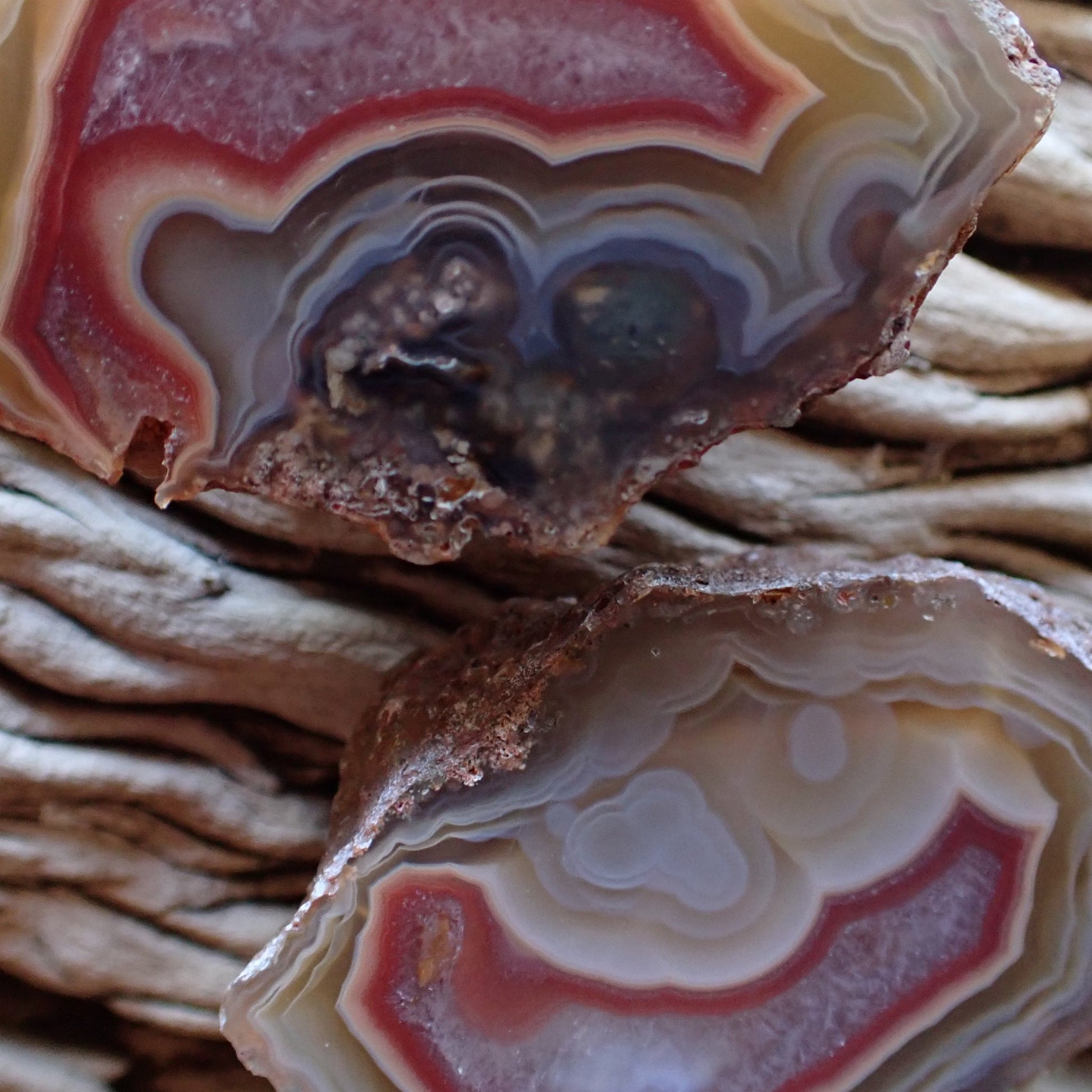 Close-up of matching Malawi Ngabu agate pair showing ghost banding, fortification banding and eyes