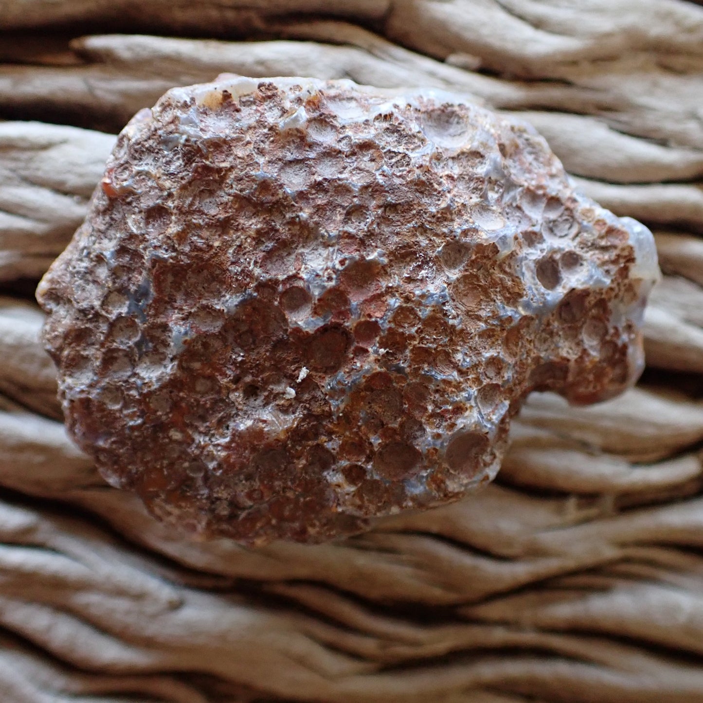 Unpolished side of a cut Malawi Ngabu agate nodule